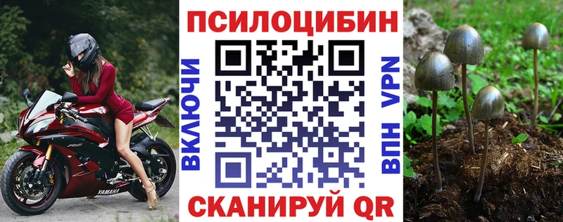 блэк спрут сайт  Солигалич  Галлюциногенные грибы Psilocybine cubensis 