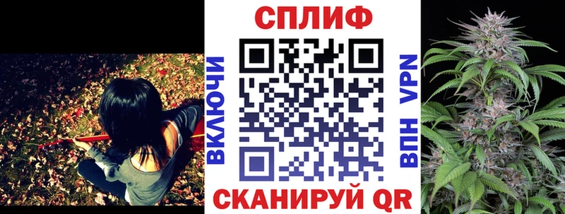 где купить наркотик  Солигалич  мега ссылка  Конопля Ganja 